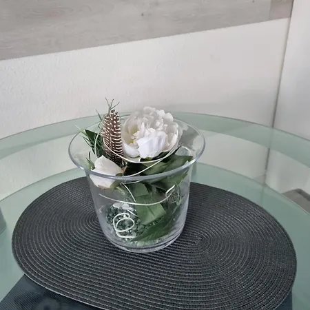 Apartment Sonnenstrahl - Whg 4 *
